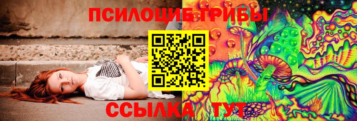 Галлюциногенные грибы прущие грибы  Вход с VPN  купить  сайты  Королёв 