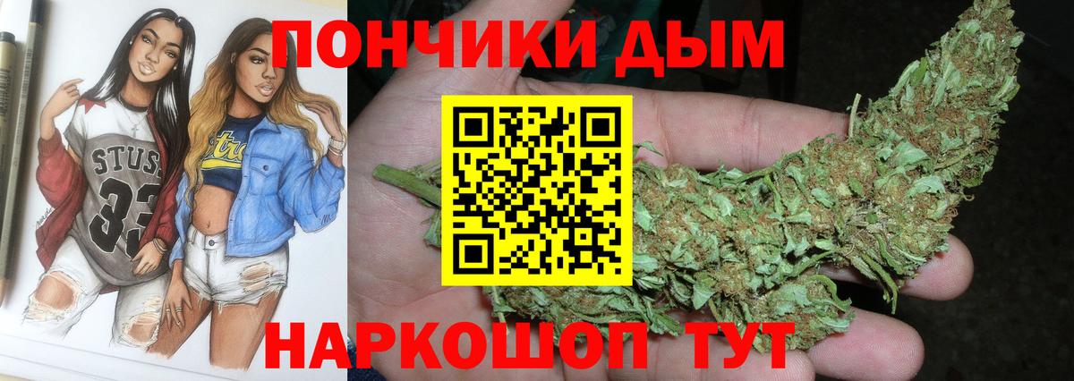 Каннабис Bruce Banner  Вход с VPN  Королёв  Бошки марихуана Amnesia  Каннабис OG Kush 